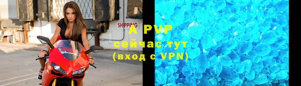 таблы Бородино