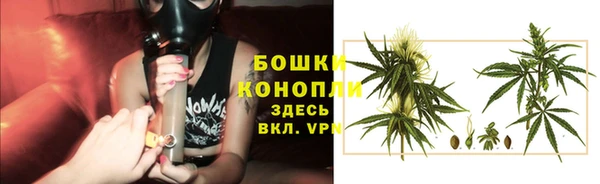 стафф Богородск