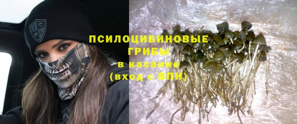 таблы Бородино