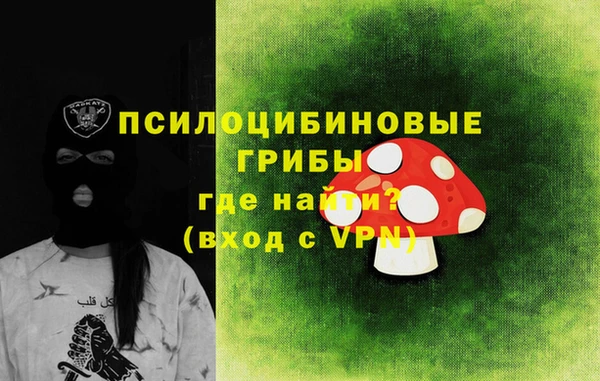 ECSTASY Бронницы