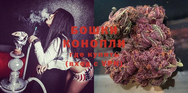 таблы Бородино