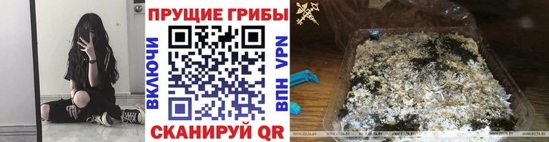 Купить закладки  Купино  Псилоцибиновые грибы прущие грибы 